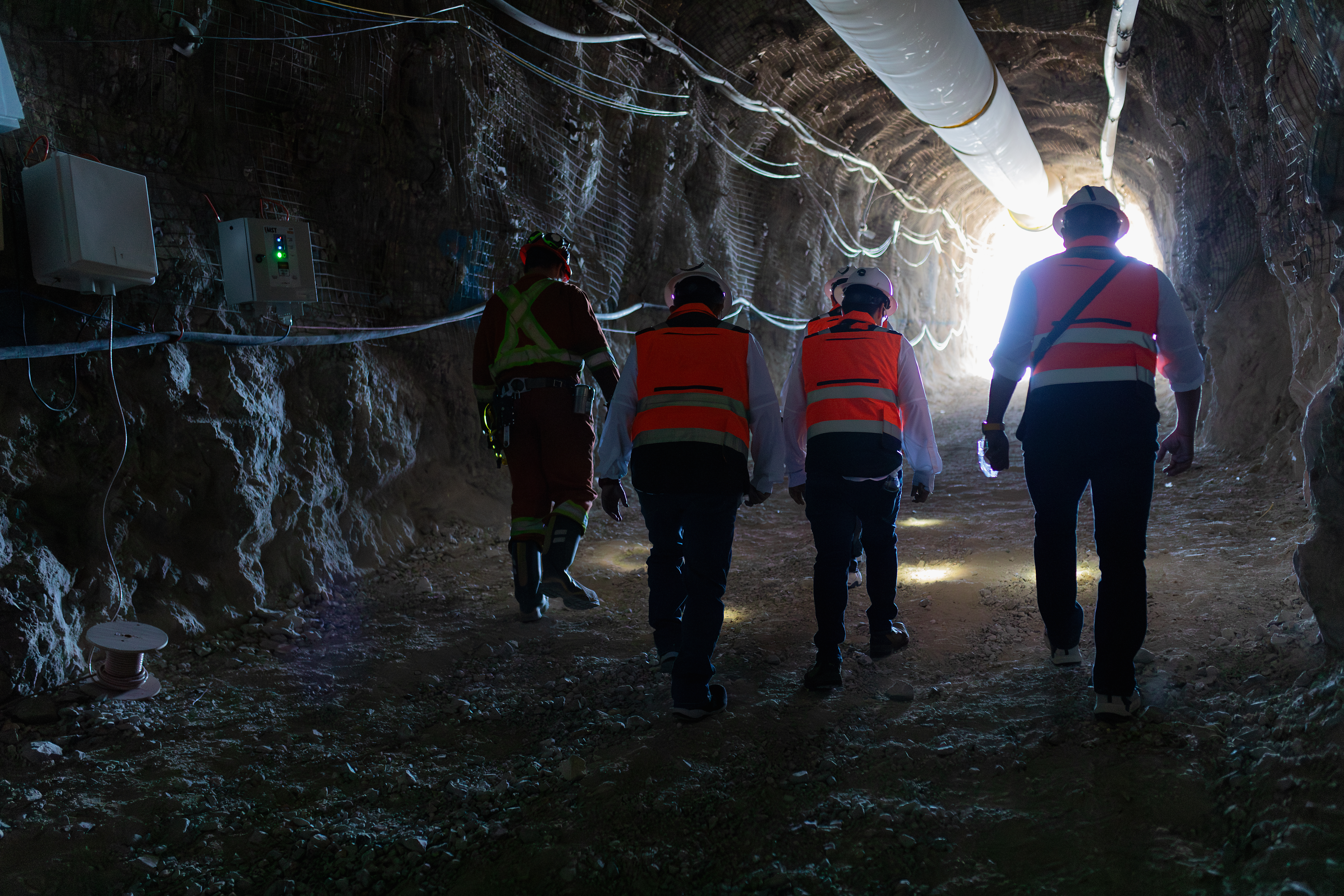 Rapidez de comercialización