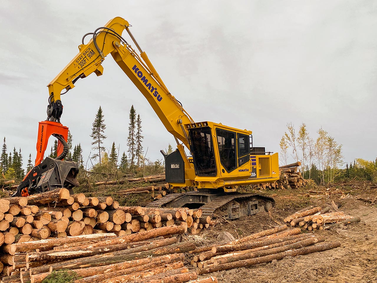 Protects against falling limbs
