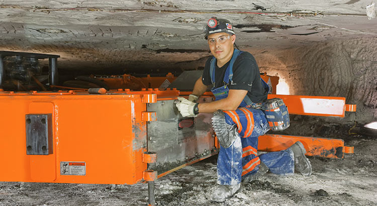 Lifecycle management